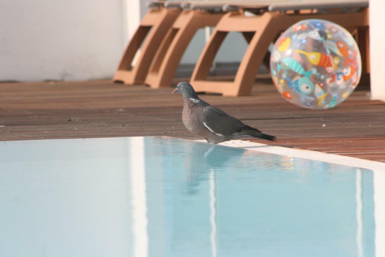 ביביונה Hotel Luciana מראה חיצוני תמונה